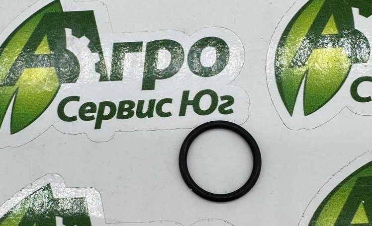 F3171R Уплотнительное кольцо