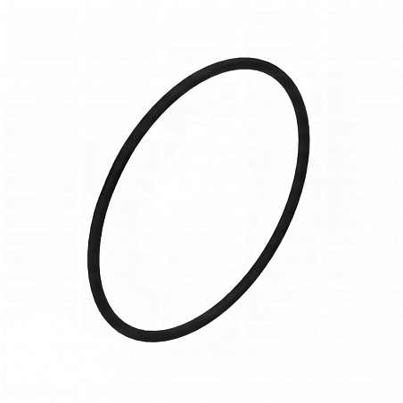P48403 Уплотнительное кольцо